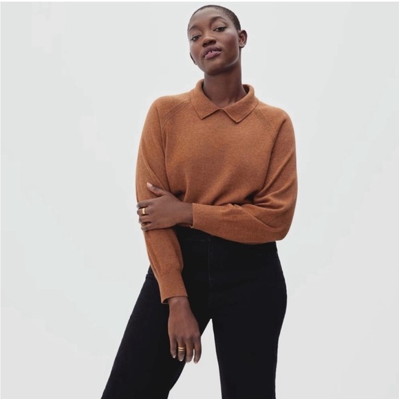 Everlane Sweaters - Everlane Cashmere Collared Sweater Pullover, brown, XS